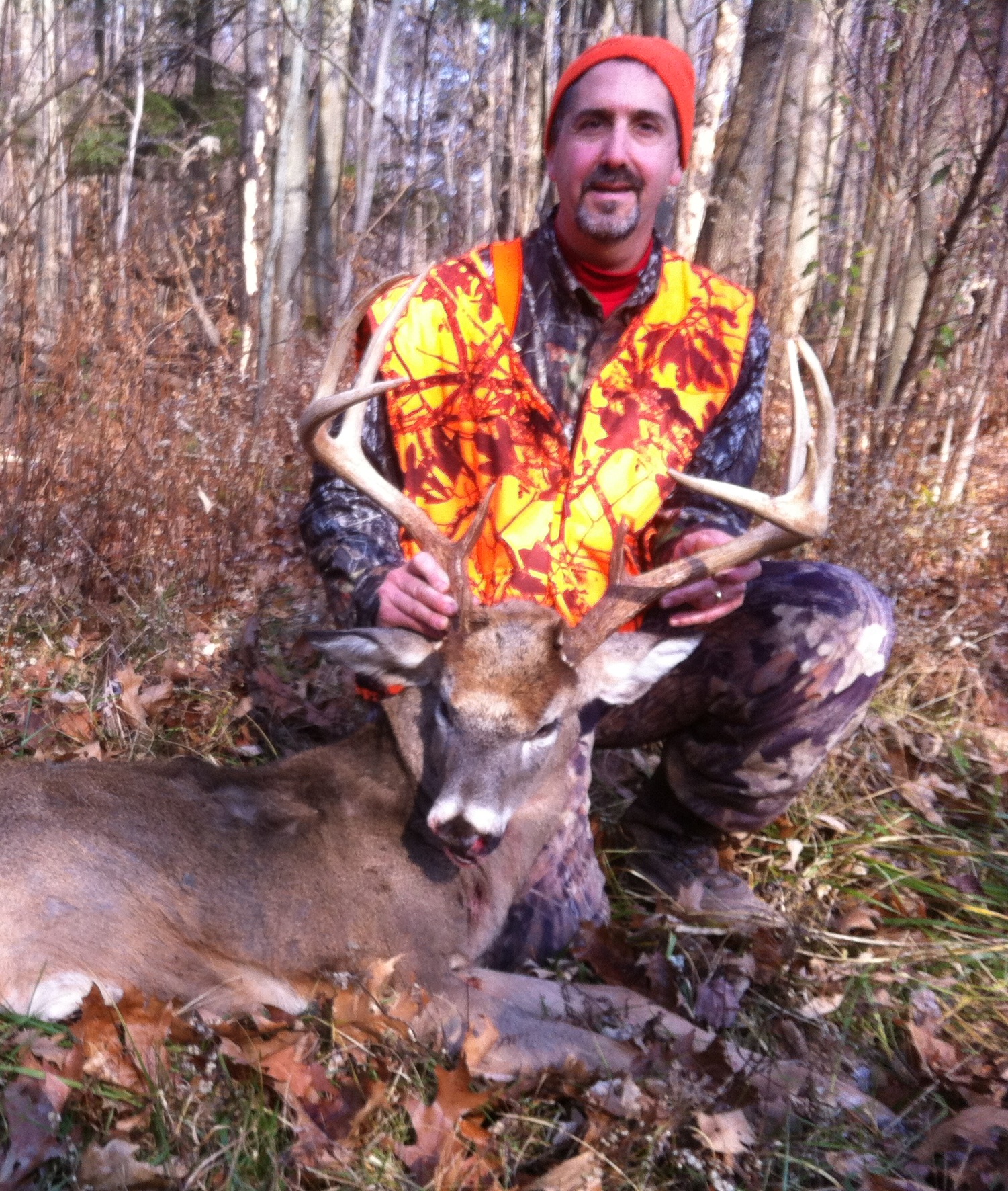 Buck2013