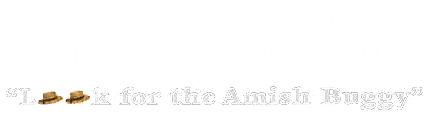 logo-amish-villa (1)