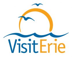 visiterie_logo 1